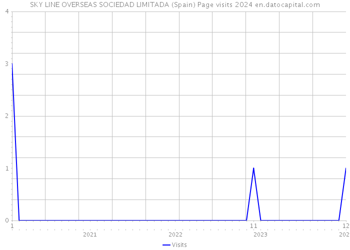 SKY LINE OVERSEAS SOCIEDAD LIMITADA (Spain) Page visits 2024 
