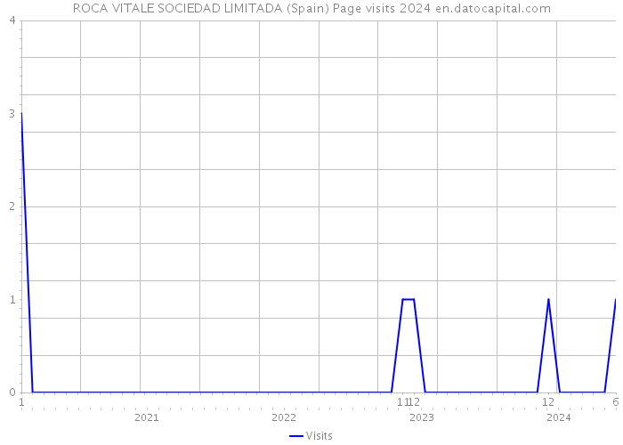 ROCA VITALE SOCIEDAD LIMITADA (Spain) Page visits 2024 