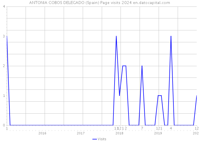ANTONIA COBOS DELEGADO (Spain) Page visits 2024 