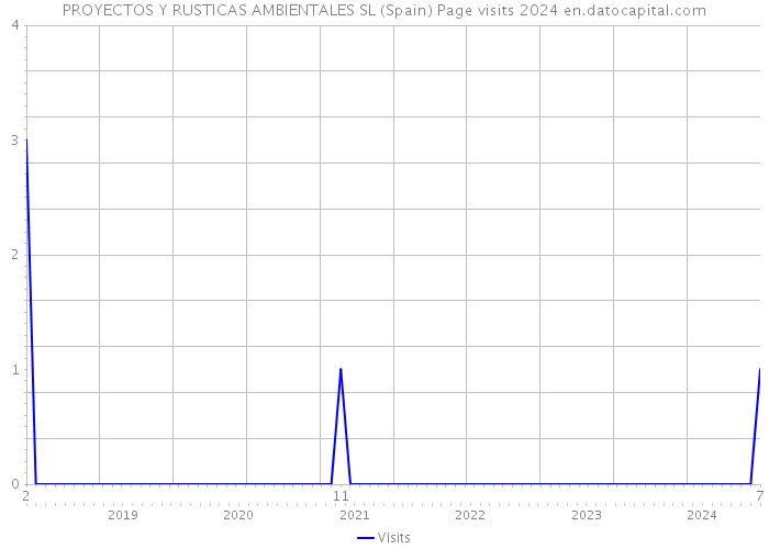 PROYECTOS Y RUSTICAS AMBIENTALES SL (Spain) Page visits 2024 