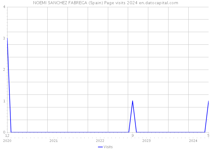 NOEMI SANCHEZ FABREGA (Spain) Page visits 2024 
