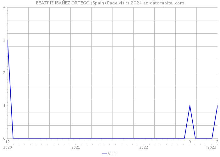 BEATRIZ IBAÑEZ ORTEGO (Spain) Page visits 2024 