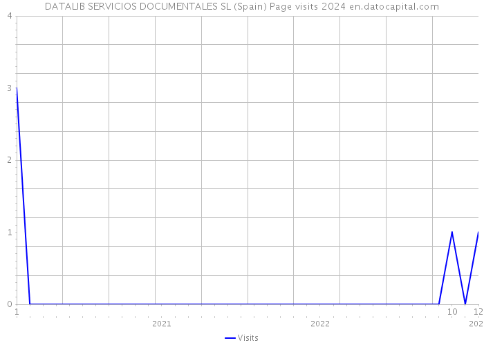 DATALIB SERVICIOS DOCUMENTALES SL (Spain) Page visits 2024 