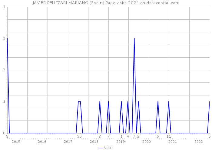 JAVIER PELIZZARI MARIANO (Spain) Page visits 2024 