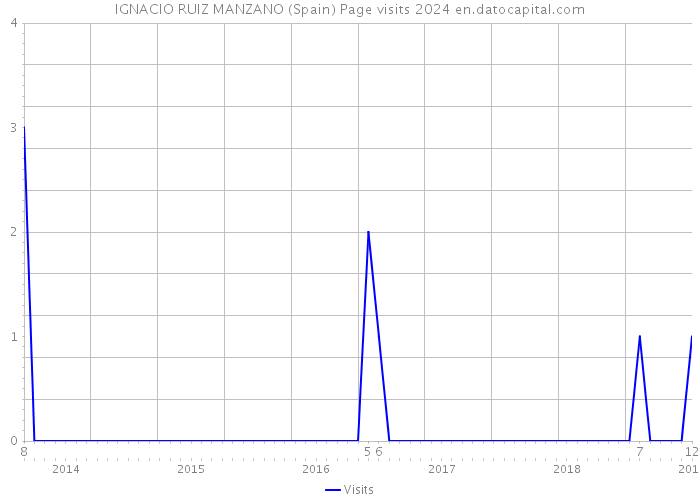 IGNACIO RUIZ MANZANO (Spain) Page visits 2024 