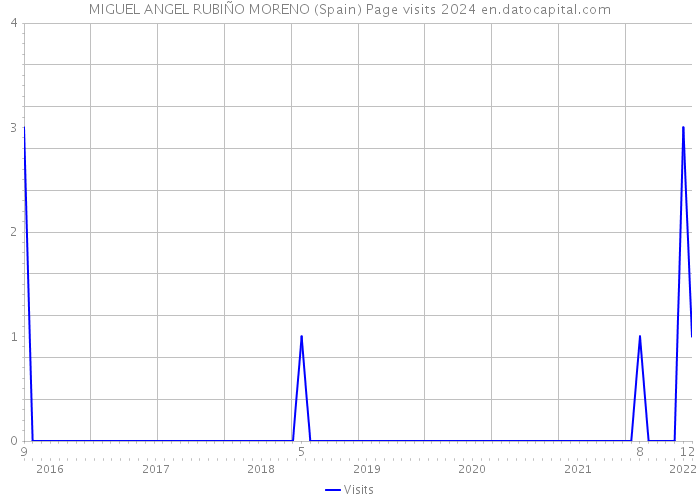 MIGUEL ANGEL RUBIÑO MORENO (Spain) Page visits 2024 