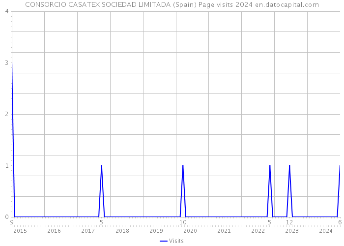 CONSORCIO CASATEX SOCIEDAD LIMITADA (Spain) Page visits 2024 