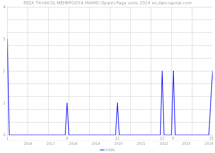 REZA TAVAKOL MEHRPOOYA HAMID (Spain) Page visits 2024 