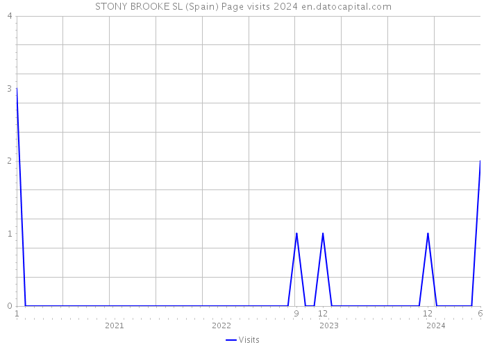 STONY BROOKE SL (Spain) Page visits 2024 