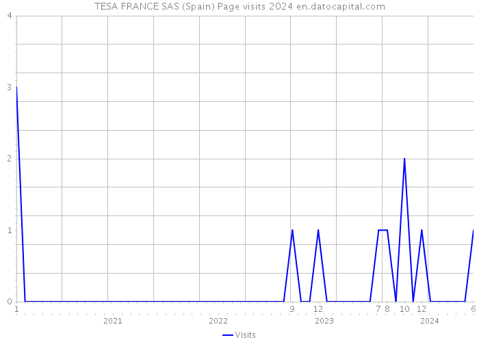TESA FRANCE SAS (Spain) Page visits 2024 