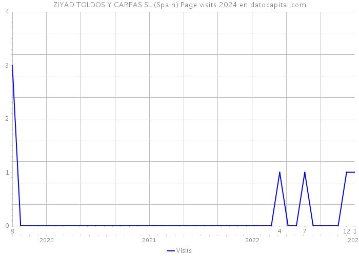 ZIYAD TOLDOS Y CARPAS SL (Spain) Page visits 2024 