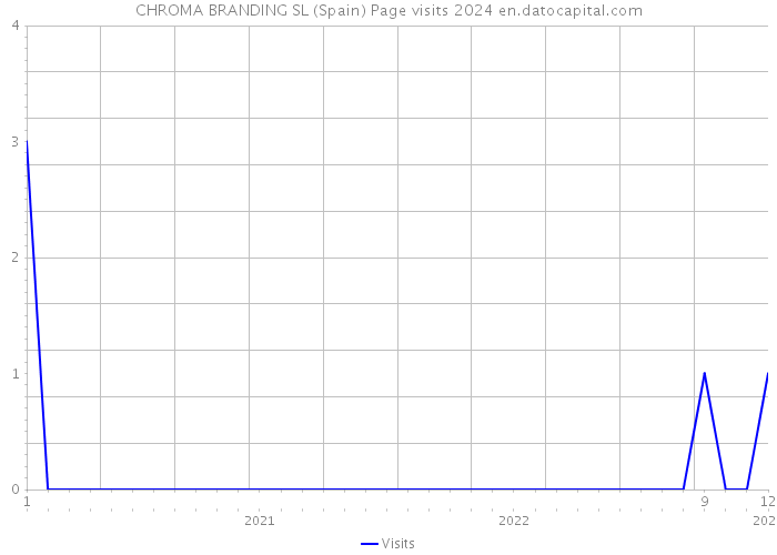 CHROMA BRANDING SL (Spain) Page visits 2024 