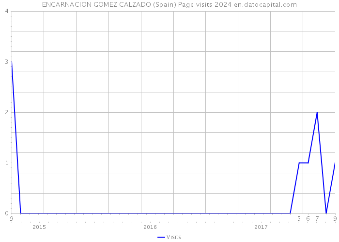 ENCARNACION GOMEZ CALZADO (Spain) Page visits 2024 
