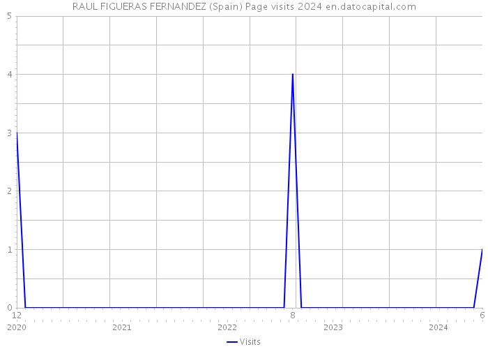RAUL FIGUERAS FERNANDEZ (Spain) Page visits 2024 