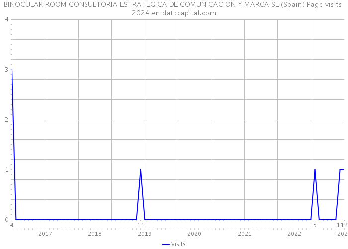 BINOCULAR ROOM CONSULTORIA ESTRATEGICA DE COMUNICACION Y MARCA SL (Spain) Page visits 2024 