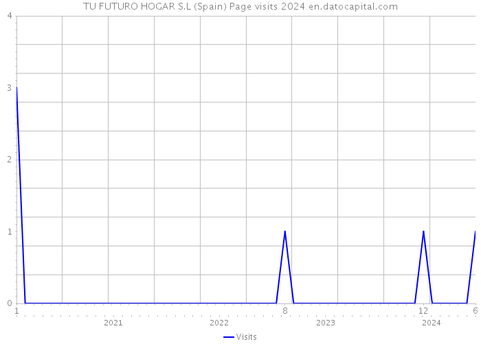 TU FUTURO HOGAR S.L (Spain) Page visits 2024 
