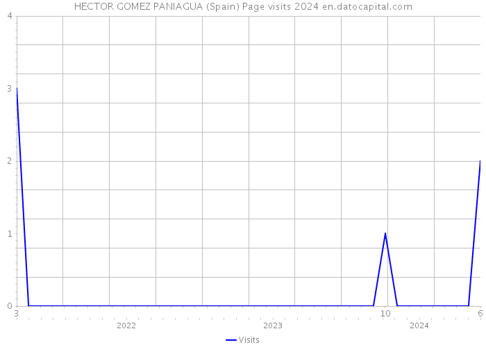 HECTOR GOMEZ PANIAGUA (Spain) Page visits 2024 