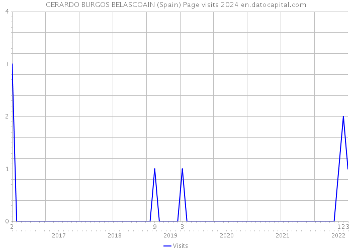 GERARDO BURGOS BELASCOAIN (Spain) Page visits 2024 