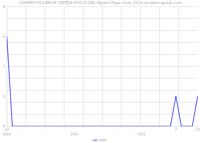 CARMEN FIGUEROA CEPEDA ROCIO DEL (Spain) Page visits 2024 