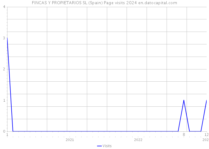 FINCAS Y PROPIETARIOS SL (Spain) Page visits 2024 