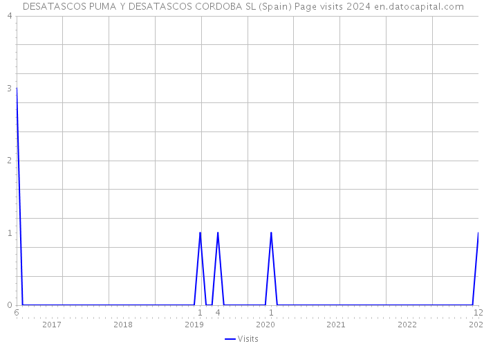  DESATASCOS PUMA Y DESATASCOS CORDOBA SL (Spain) Page visits 2024 