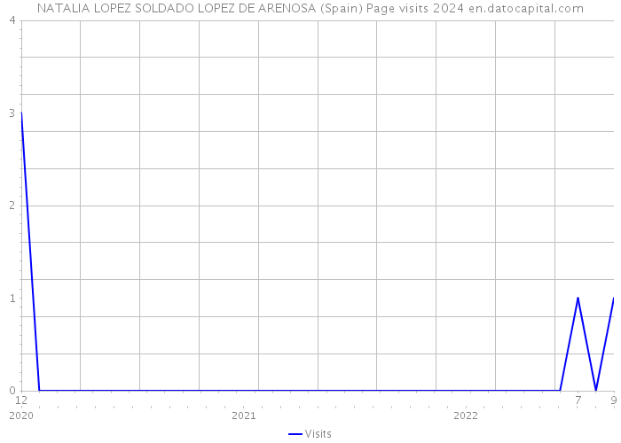 NATALIA LOPEZ SOLDADO LOPEZ DE ARENOSA (Spain) Page visits 2024 