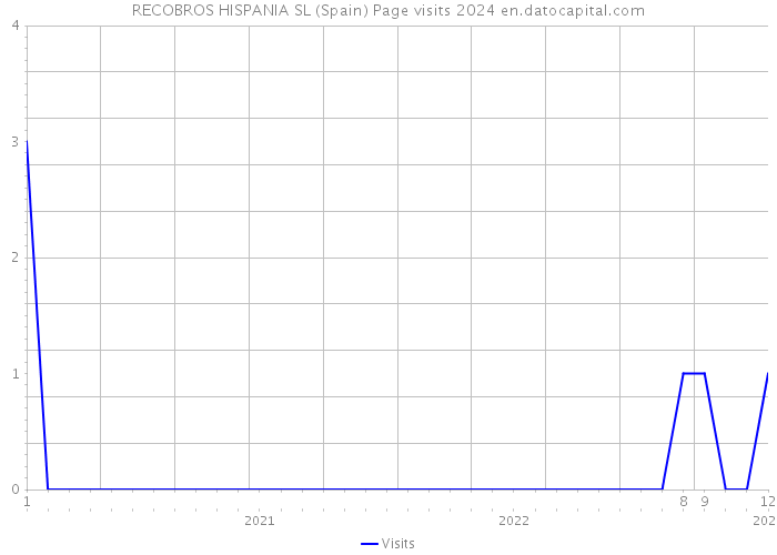 RECOBROS HISPANIA SL (Spain) Page visits 2024 