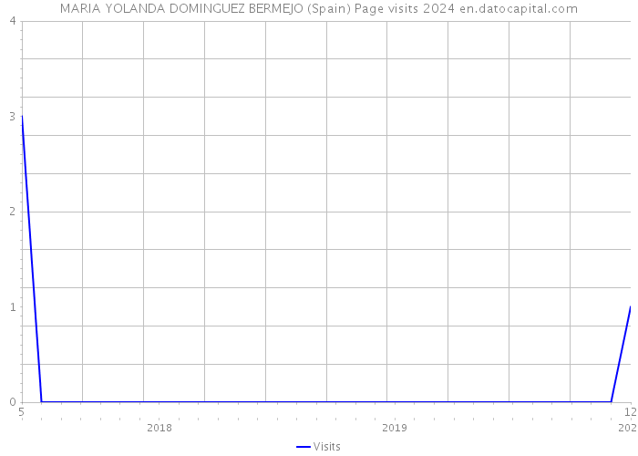 MARIA YOLANDA DOMINGUEZ BERMEJO (Spain) Page visits 2024 