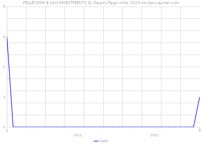 PELLEGRINI & LAO INVESTMENTS SL (Spain) Page visits 2024 