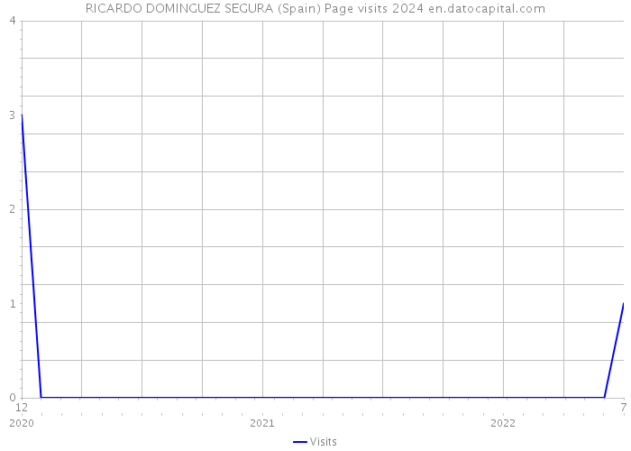 RICARDO DOMINGUEZ SEGURA (Spain) Page visits 2024 