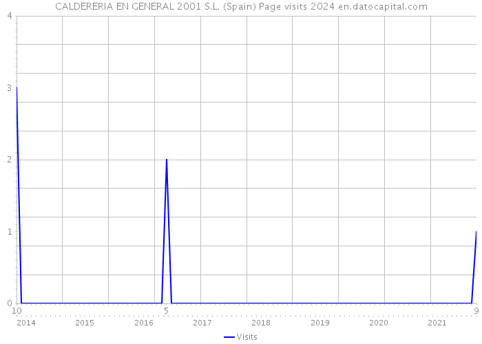 CALDERERIA EN GENERAL 2001 S.L. (Spain) Page visits 2024 