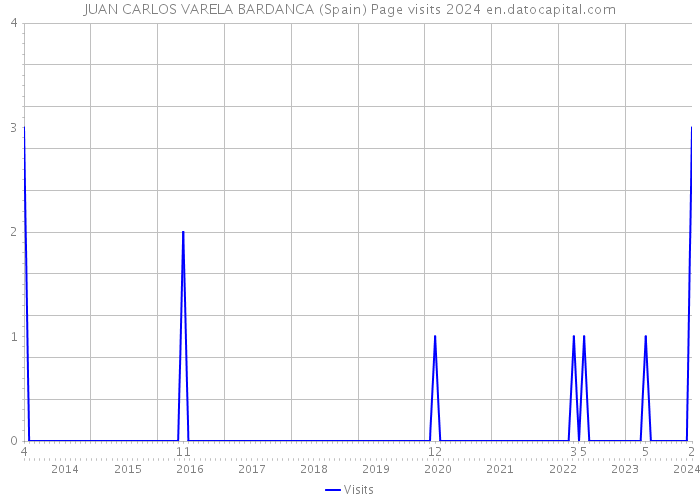 JUAN CARLOS VARELA BARDANCA (Spain) Page visits 2024 