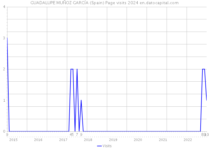 GUADALUPE MUÑOZ GARCÍA (Spain) Page visits 2024 