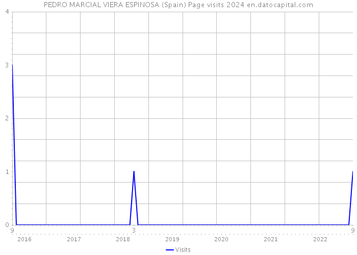 PEDRO MARCIAL VIERA ESPINOSA (Spain) Page visits 2024 