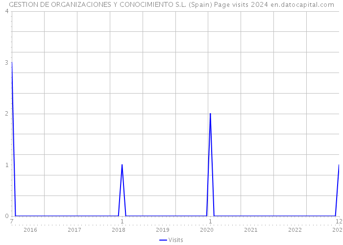 GESTION DE ORGANIZACIONES Y CONOCIMIENTO S.L. (Spain) Page visits 2024 