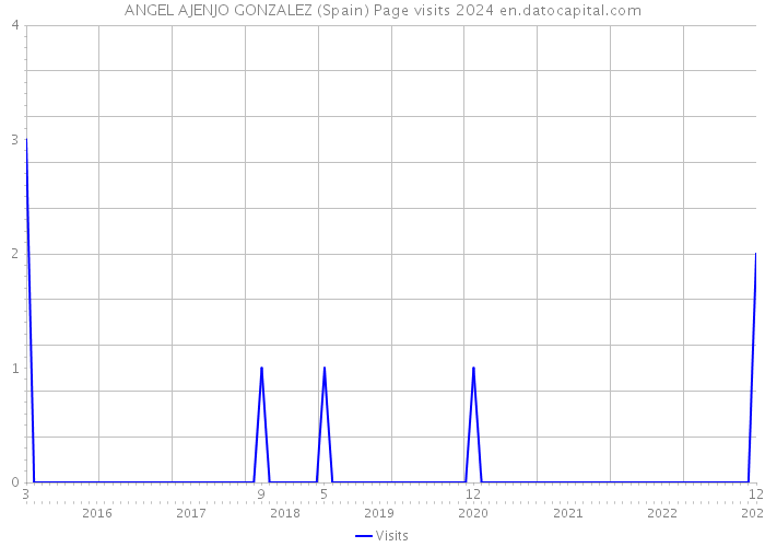 ANGEL AJENJO GONZALEZ (Spain) Page visits 2024 