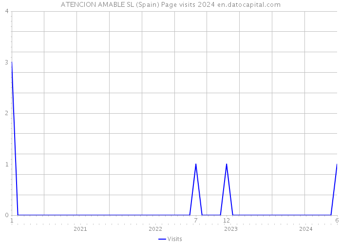 ATENCION AMABLE SL (Spain) Page visits 2024 