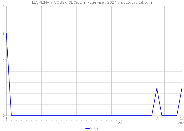 LLOVIZNA Y COLIBRI SL (Spain) Page visits 2024 