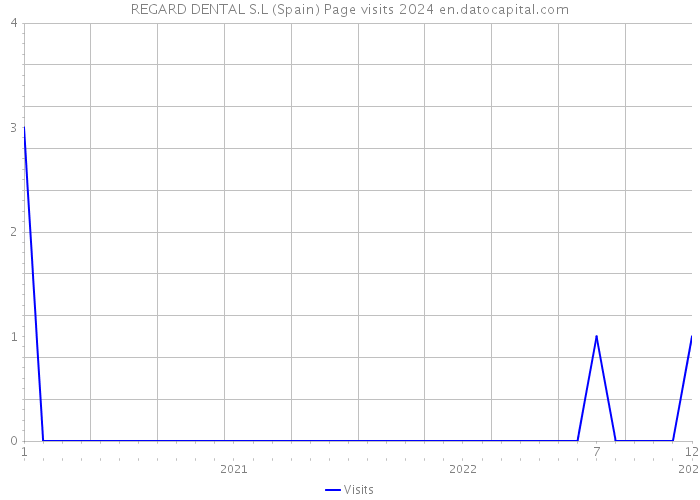 REGARD DENTAL S.L (Spain) Page visits 2024 