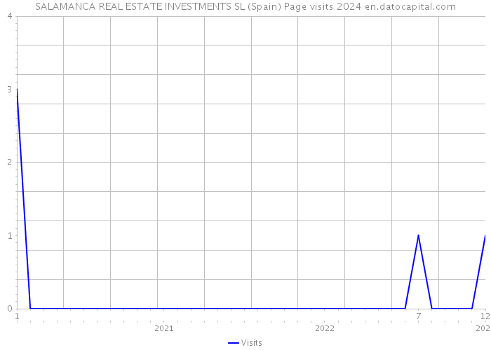 SALAMANCA REAL ESTATE INVESTMENTS SL (Spain) Page visits 2024 