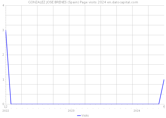 GONZALEZ JOSE BRENES (Spain) Page visits 2024 