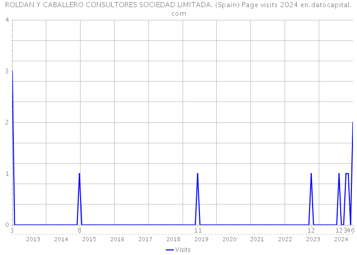 ROLDAN Y CABALLERO CONSULTORES SOCIEDAD LIMITADA. (Spain) Page visits 2024 