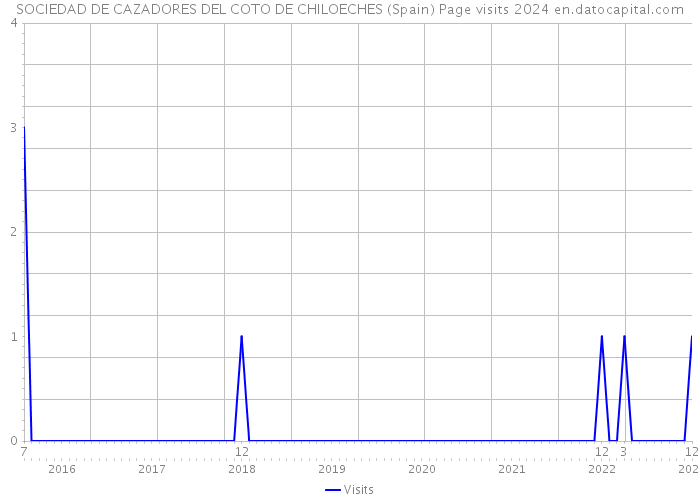 SOCIEDAD DE CAZADORES DEL COTO DE CHILOECHES (Spain) Page visits 2024 