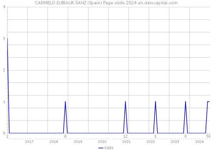 CARMELO ZUBIAUR SANZ (Spain) Page visits 2024 