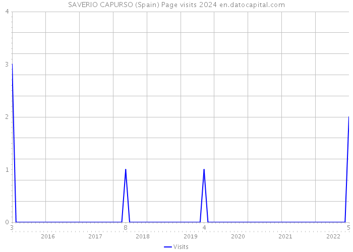 SAVERIO CAPURSO (Spain) Page visits 2024 