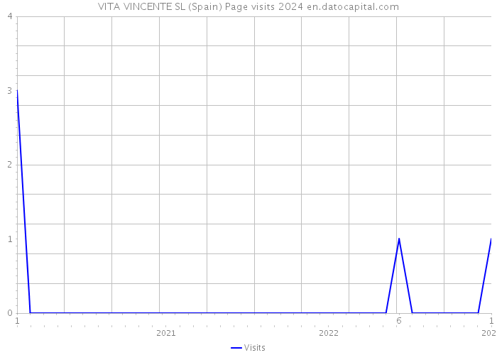 VITA VINCENTE SL (Spain) Page visits 2024 