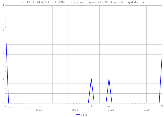 GRUPO TRAFALGAR GOURMET SL (Spain) Page visits 2024 
