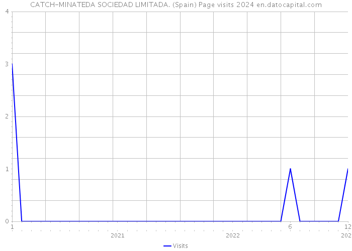 CATCH-MINATEDA SOCIEDAD LIMITADA. (Spain) Page visits 2024 