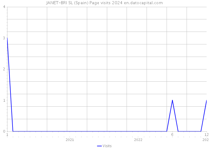 JANET-BRI SL (Spain) Page visits 2024 
