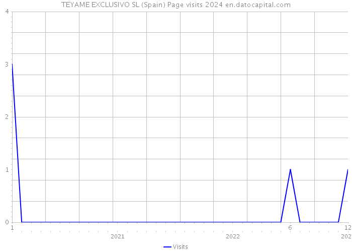 TEYAME EXCLUSIVO SL (Spain) Page visits 2024 
